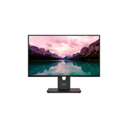 Lenovo ThinkVision T2440